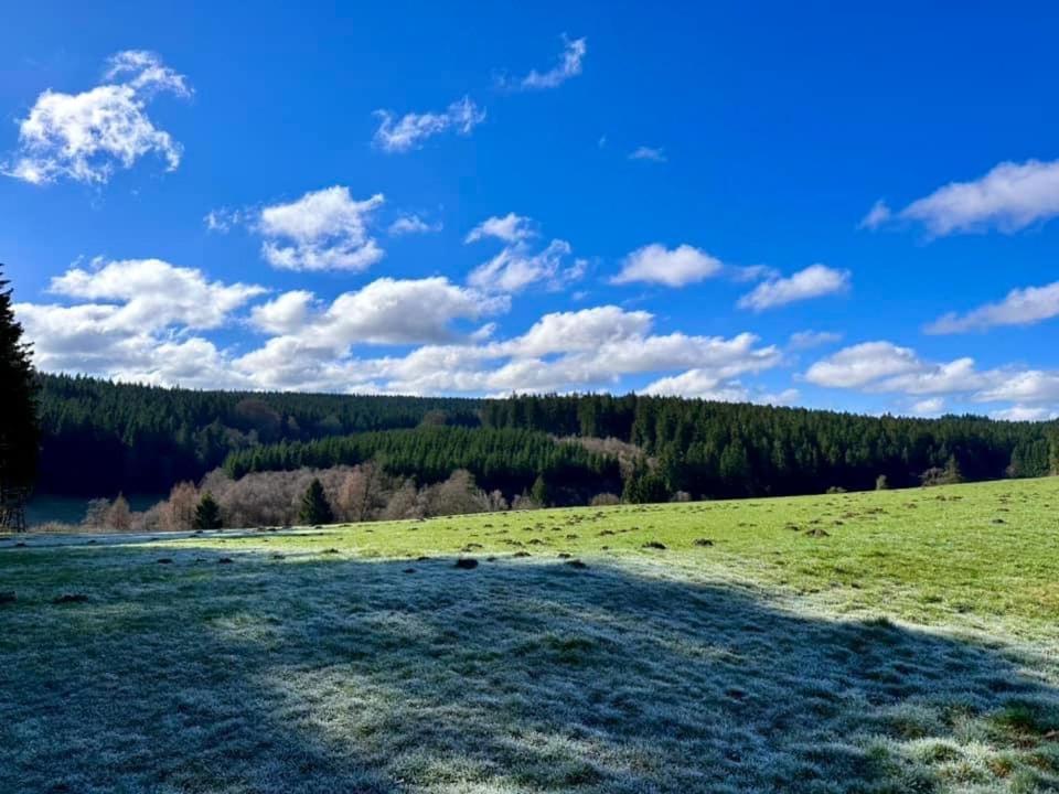 Ferienhof A&B Wellness Villa 12 Personen Hunningen Екстер'єр фото